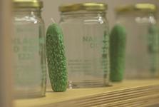 Znojmo slaví 800 let. Významné jubileum připomíná svíčka ve tvaru okurky