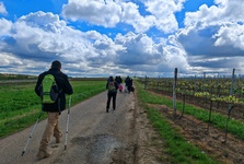 Den Znovín Walkingu láká na jarní procházku mezi vinicemi